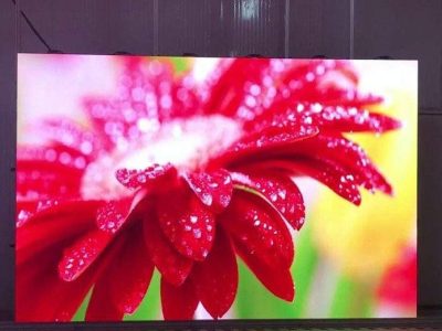 Màn hình LED P1.923 Trong Nhà: Giải Pháp Hiển Thị Sắc Nét Hàng Đầu 2026 - Zeus Việt Nam