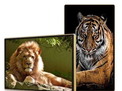 Màn Hình Quảng Cáo Châu Âu 49 Inch: Giải Pháp Smart Signage Hiệu Quả 2026 - Zeus Việt Nam