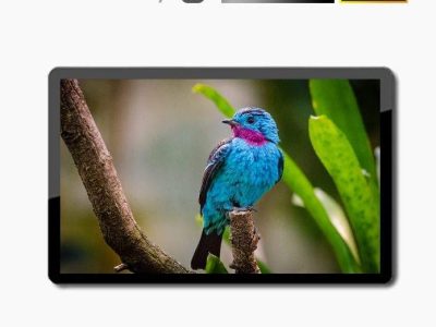 Màn hình quảng cáo LCD treo tường 75 inch SAMSUNG / LG - Zeus Việt Nam