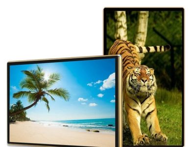 Màn hình quảng cáo Châu Âu 43 inch Smart Signage Display - Zeus Việt Nam